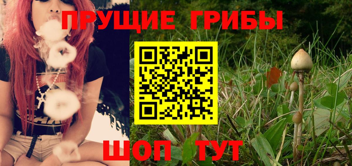 Псилоцибиновые грибы прущие грибы Белово